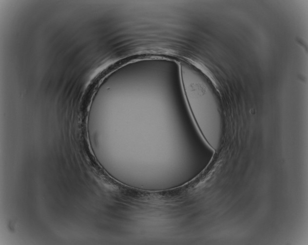 X0000092330971200709141114