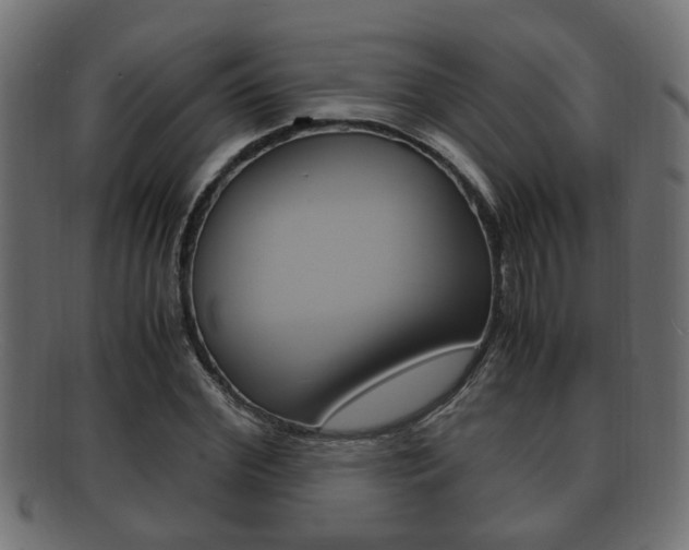 X0000092330972200709141114