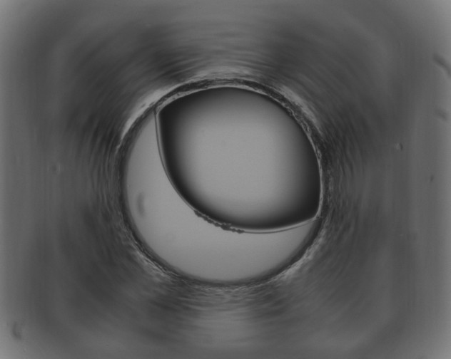 X0000092330973200709141114