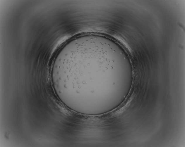 X0000092330974200709141114