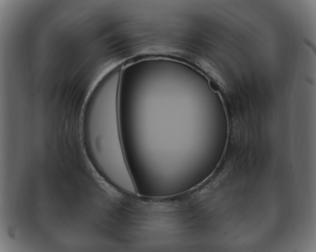X0000092330976200709141114