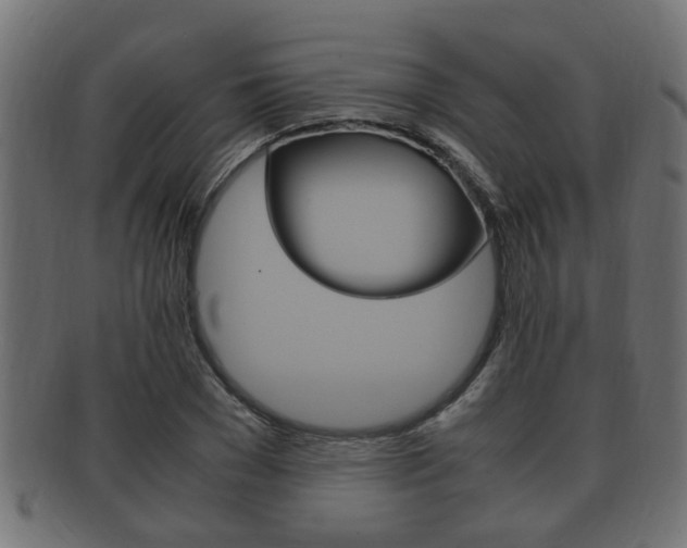 X0000092330977200709141114