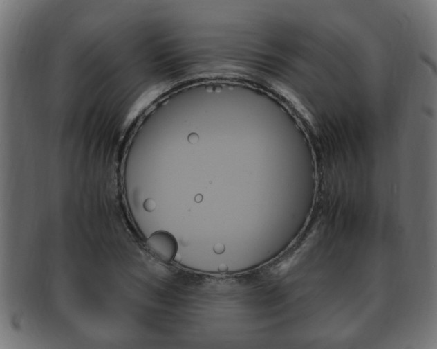 X0000092330978200709141114
