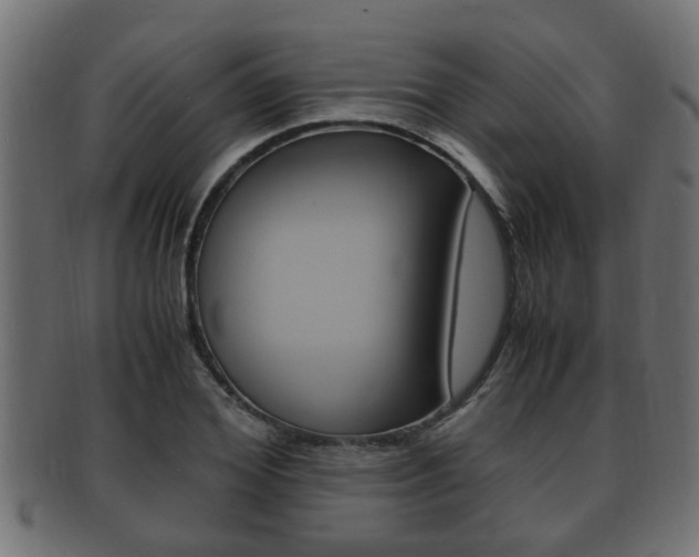 X0000092330980200709141114