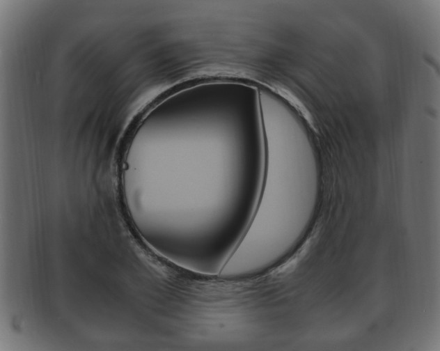 X0000092330981200709141114