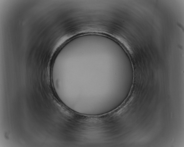 X0000092330982200709141114