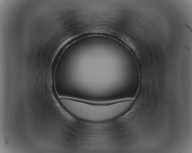 X0000092330984200709141114