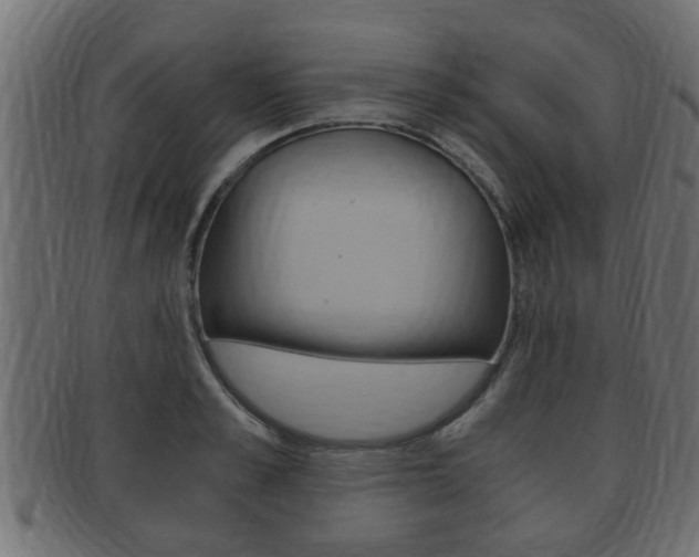X0000092330989200709141114