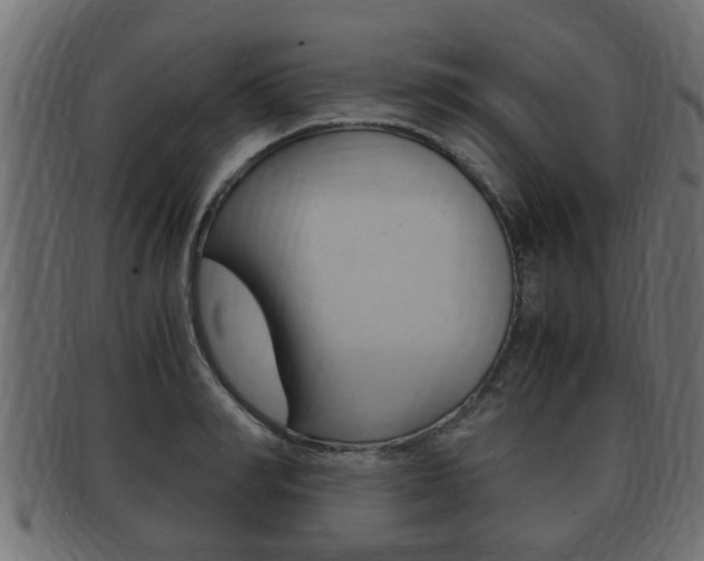 X0000092330990200709141114