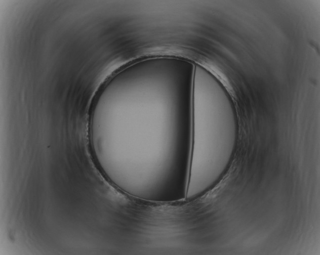 X0000092330992200709141114