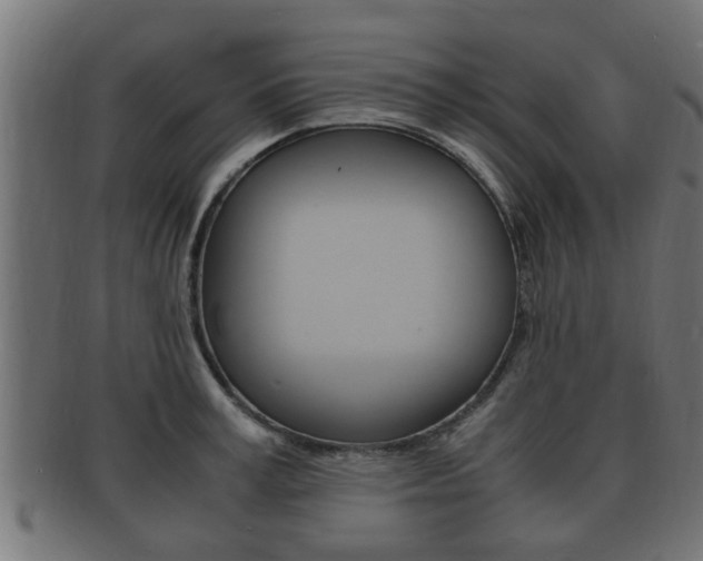 X0000092330995200709141114