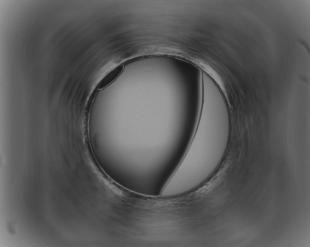 X0000092330997200709141114