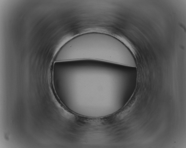 X0000092330999200709141114