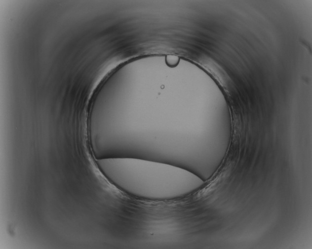 X0000092331000200709141114