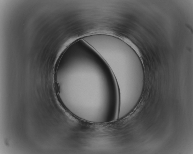 X0000092331005200709141114