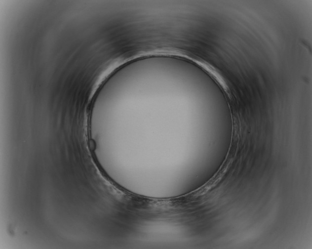 X0000092331006200709141114