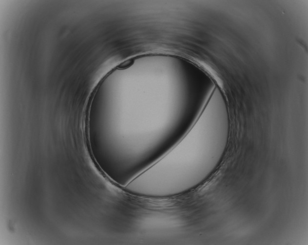 X0000092331007200709141114