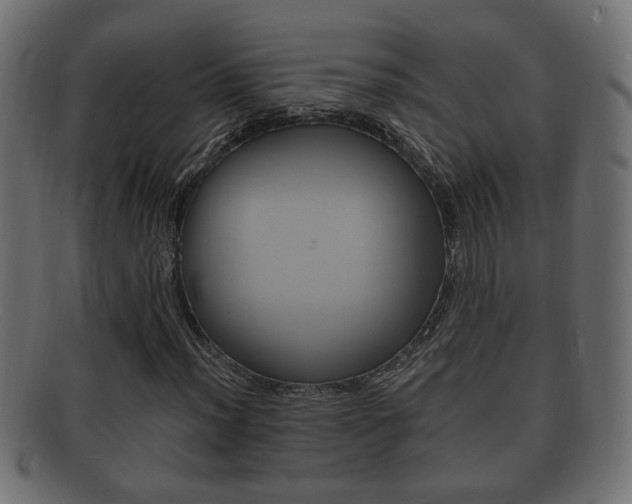 X0000092331012200709141113