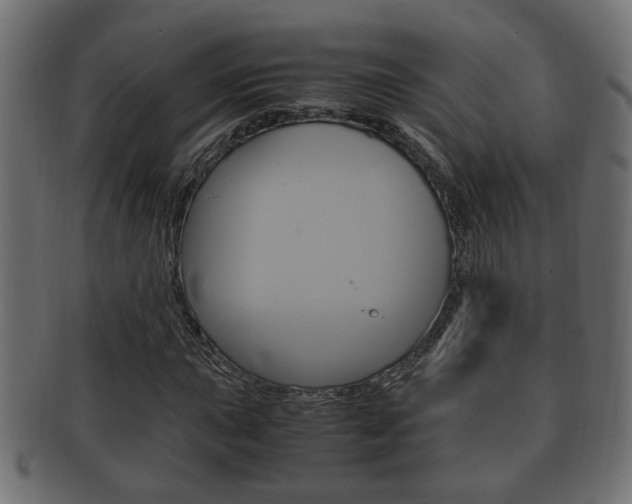 X0000092331015200709141113