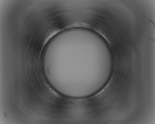 X0000092331018200709141113