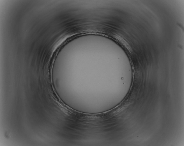 X0000092331023200709141113