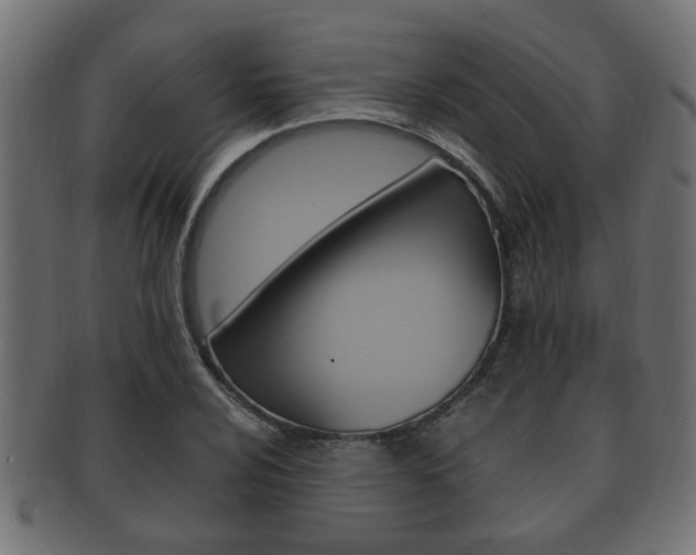 X0000092331024200709141113