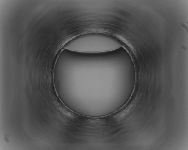 X0000092331025200709141113