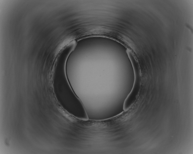 X0000092331026200709141113