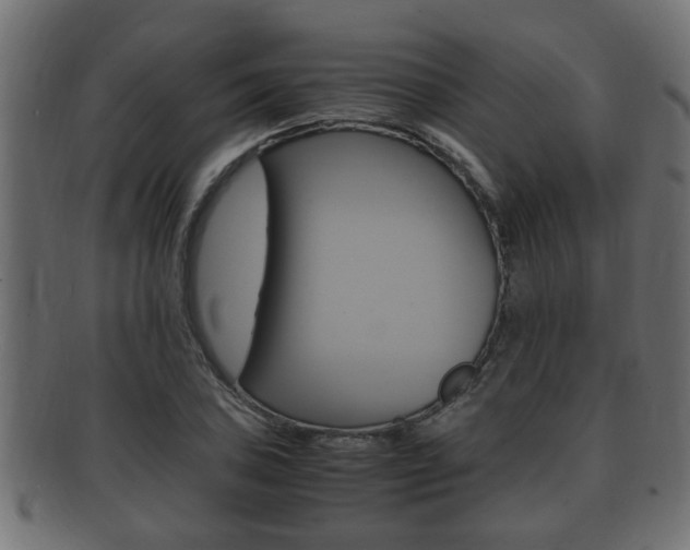 X0000092331027200709141113