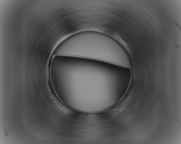 X0000092331028200709141113