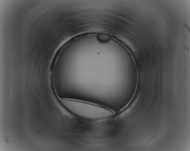 X0000092331029200709141113