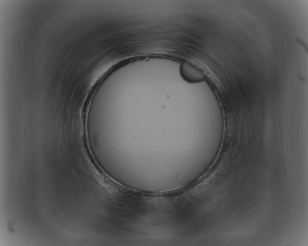 X0000092331031200709141113