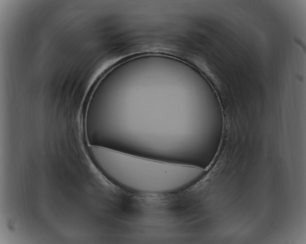 X0000092331032200709141113