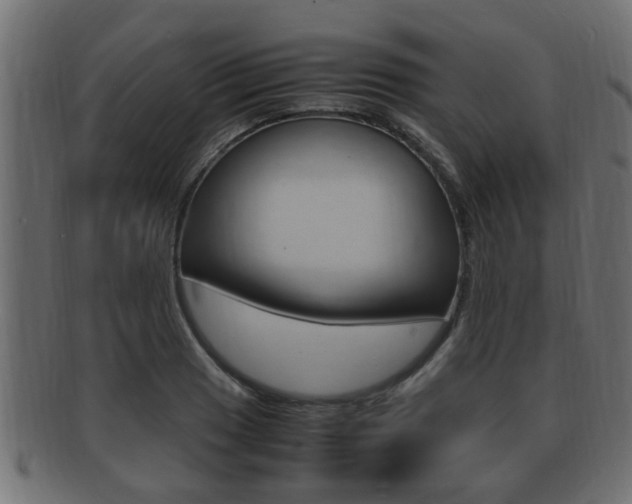X0000092331033200709141113