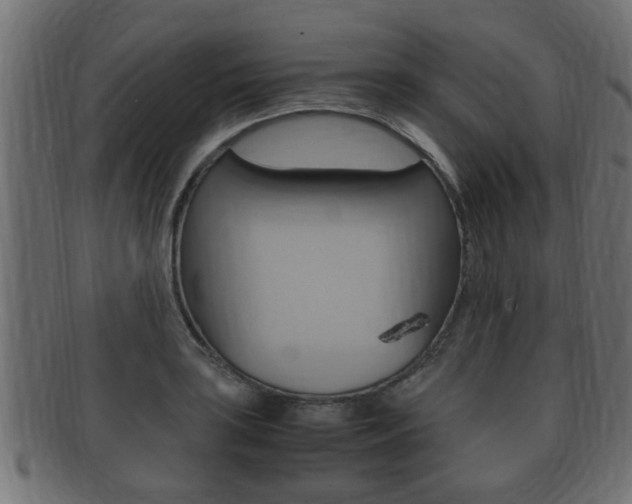X0000092331035200709141113
