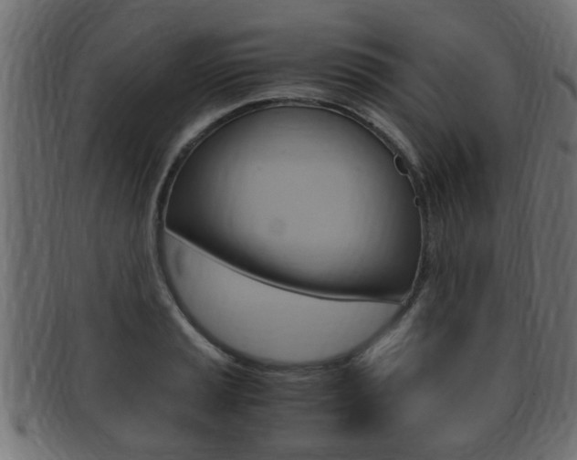 X0000092331037200709141113
