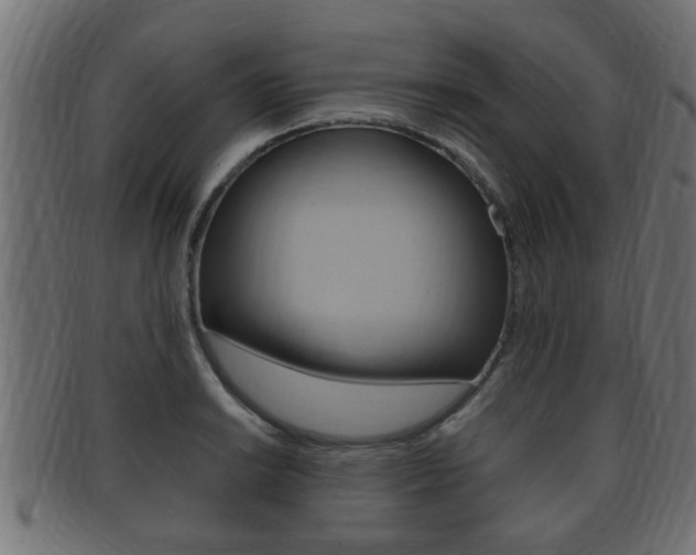 X0000092331038200709141113
