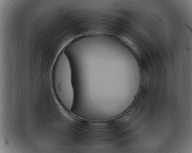 X0000092331039200709141113