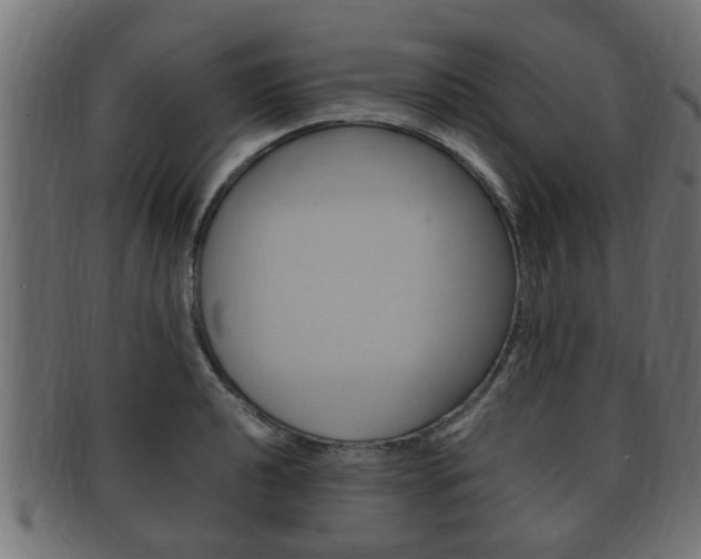 X0000092331040200709141113