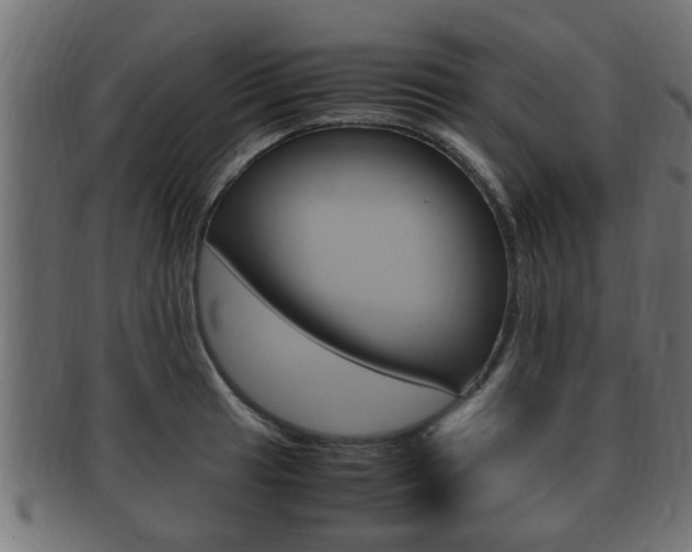 X0000092331041200709141113