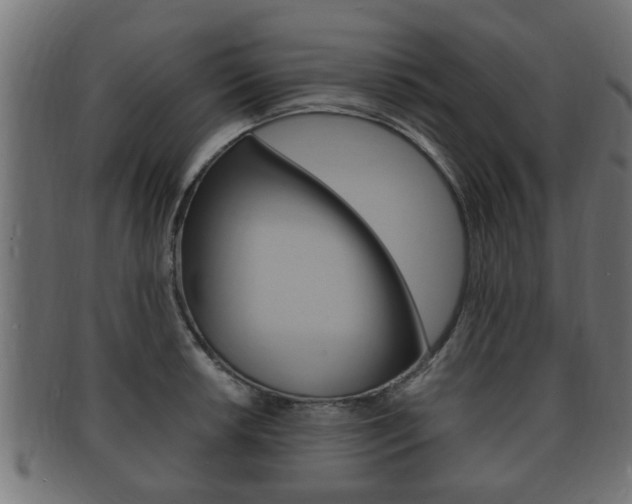X0000092331042200709141113