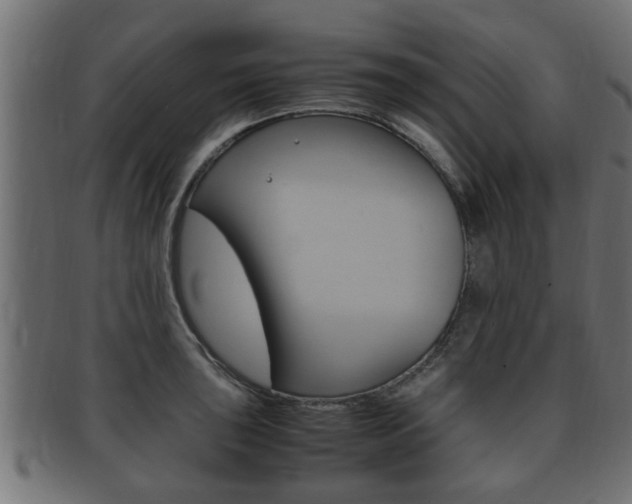 X0000092331043200709141113