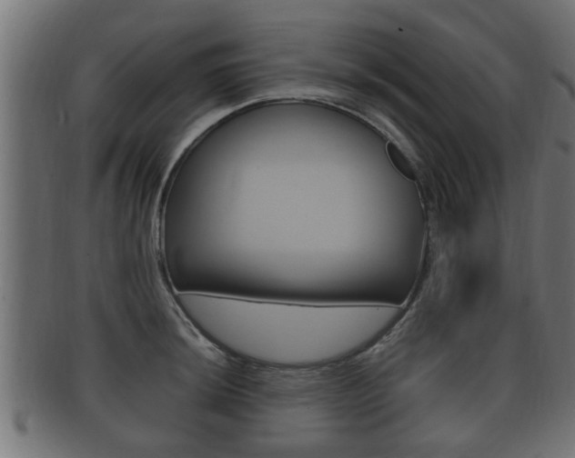 X0000092331044200709141113