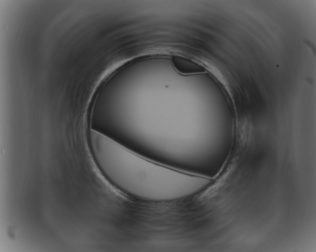 X0000092331045200709141114