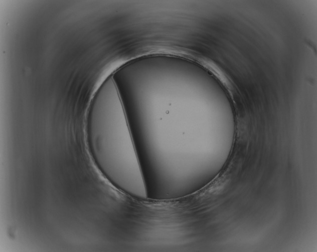 X0000092331048200709141114