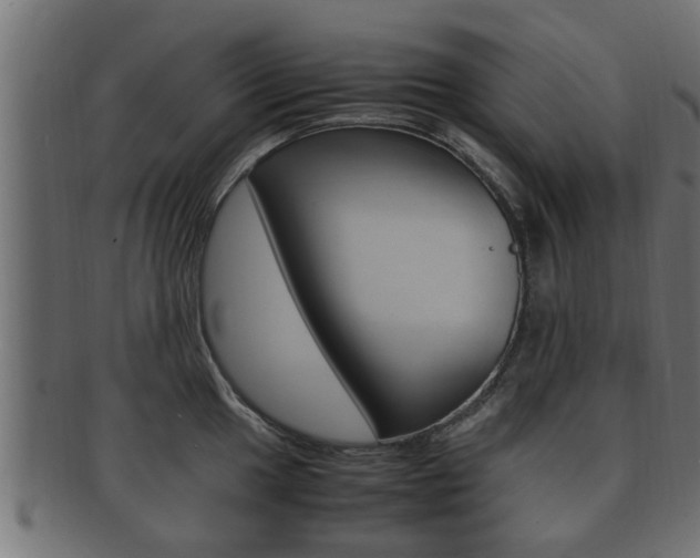 X0000092331049200709141114