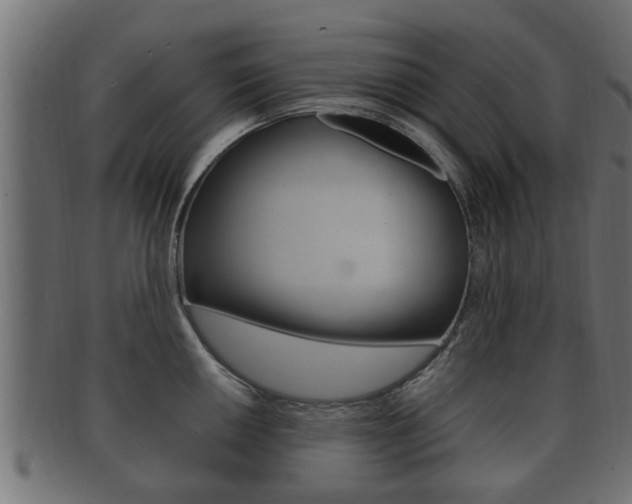 X0000092331050200709141114
