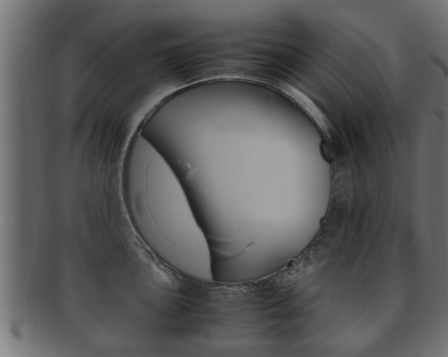 X0000092331051200709141114