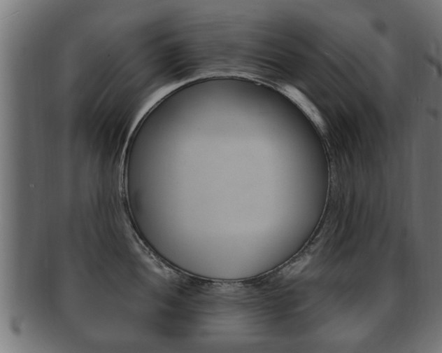X0000092331052200709141114
