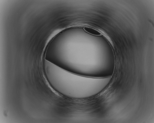 X0000092331053200709141114